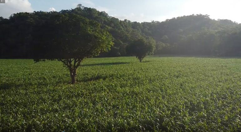 有生之年一定要去一次【4K旅行风光短片】
