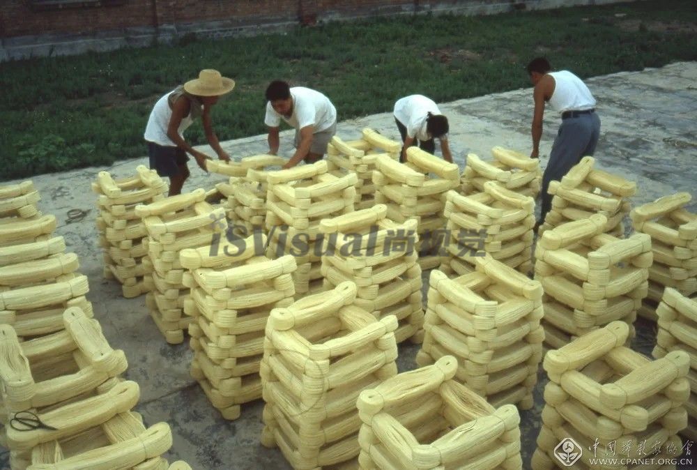 青县草帽辫的产地，他们生产的草帽辫供给制作草帽的各地企业（1981年
